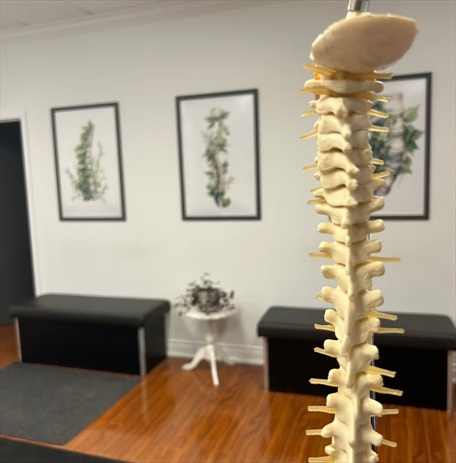 John Rae Chiropractor Dominican Republic